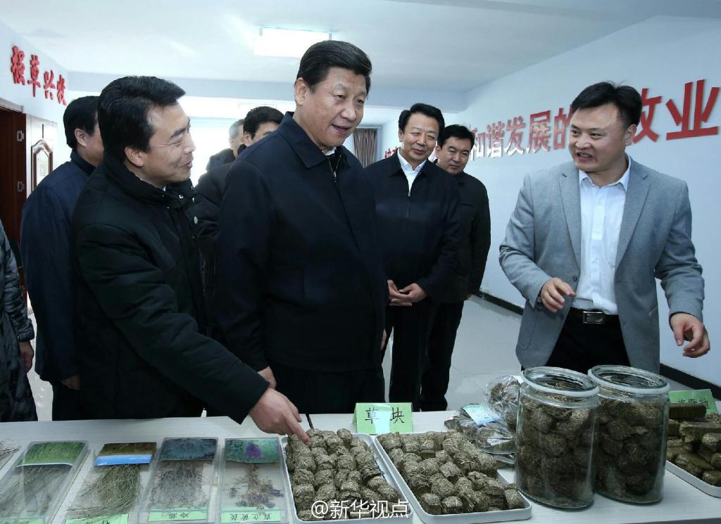 習(xí)總書記視察會員單位——草都農(nóng)牧業(yè)發(fā)展有限責(zé)任公司毛登牧場飼草產(chǎn)業(yè)基地